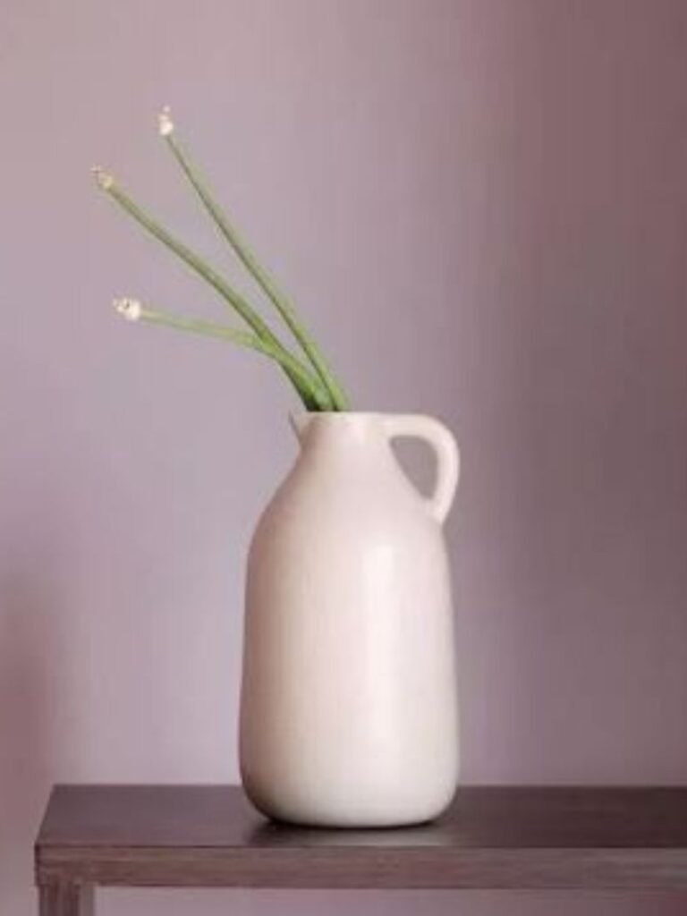 Town of Ceramics - TOC, Vases, Ceramic Vases, Ceramic Indoor Planter, Ceramic Planter, Home decor, Ceramic Gift items, Ceramic Flower Vases