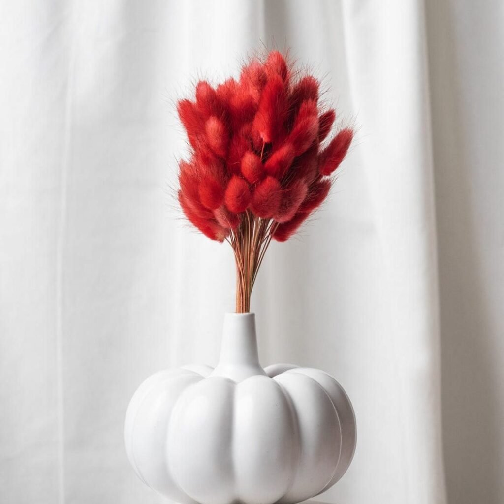 Town of Ceramics - TOC, Vases, Ceramic Vases, Ceramic Indoor Planter, Ceramic Planter, Home decor, Ceramic Gift items, Ceramic Flower Vases