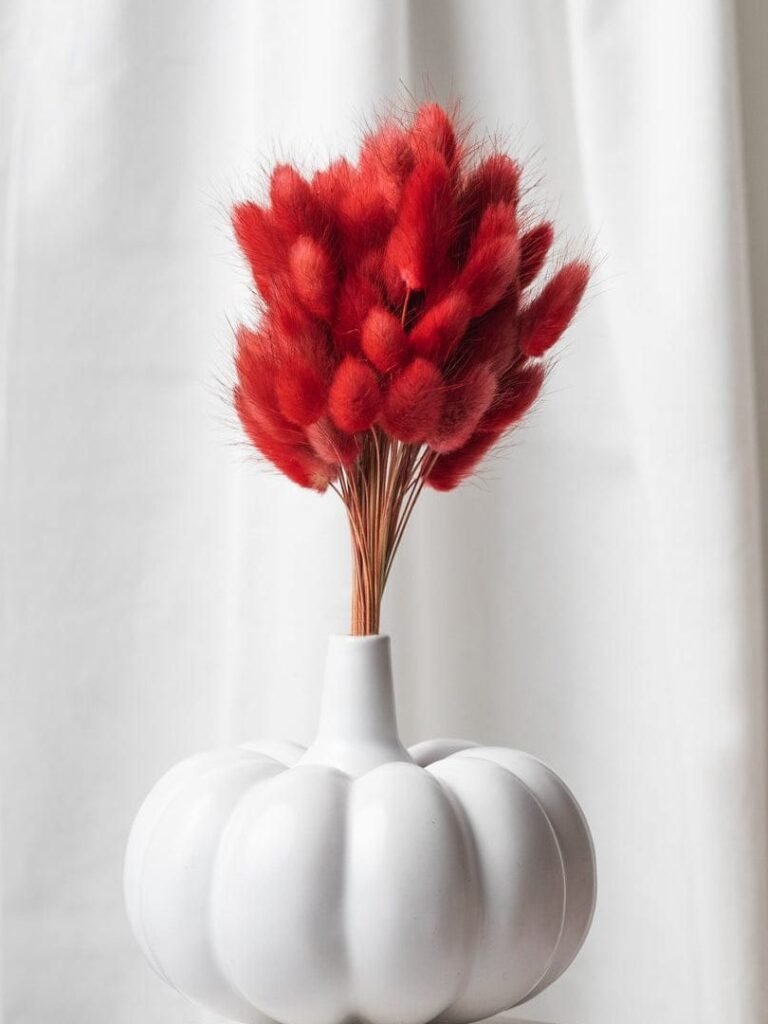 Town of Ceramics - TOC, Vases, Ceramic Vases, Ceramic Indoor Planter, Ceramic Planter, Home decor, Ceramic Gift items, Ceramic Flower Vases