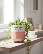 Smiley Small Planter - Image 3