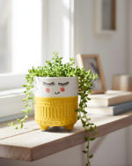 Smiley Small Planter - Image 2